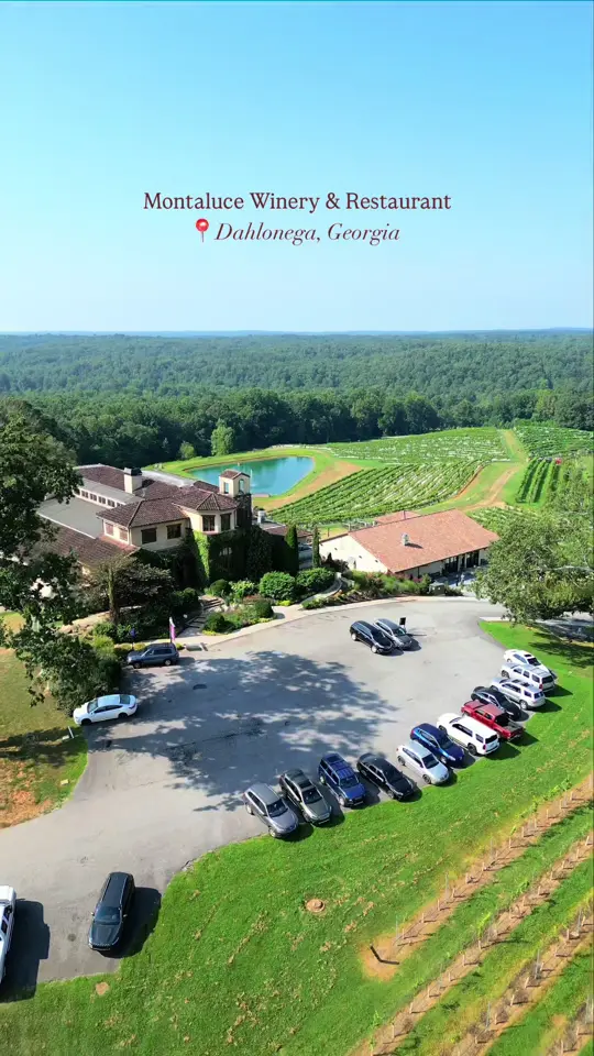 Montaluce Winery & Restaurant in Dahlonega showing review, visit, video by discover.dahlonega on TikTok