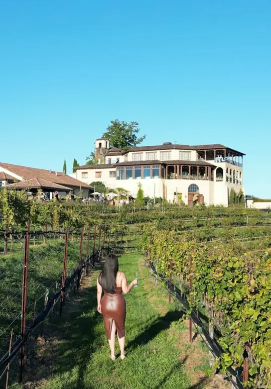 Montaluce Winery & Restaurant in Dahlonega showing visit, winery experience, drinks, video by daisysantiago111 on TikTok