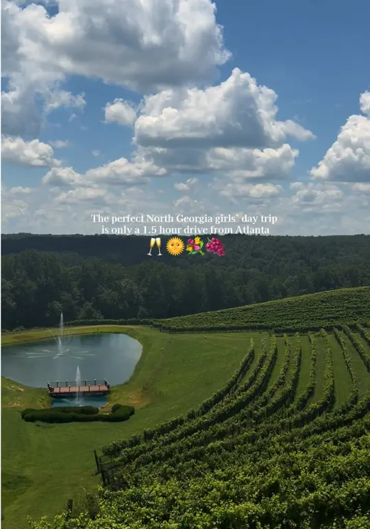 Montaluce Winery & Restaurant in Dahlonega showing wine tasting, lunch, atmosphere, video by mads_safraniec on TikTok
