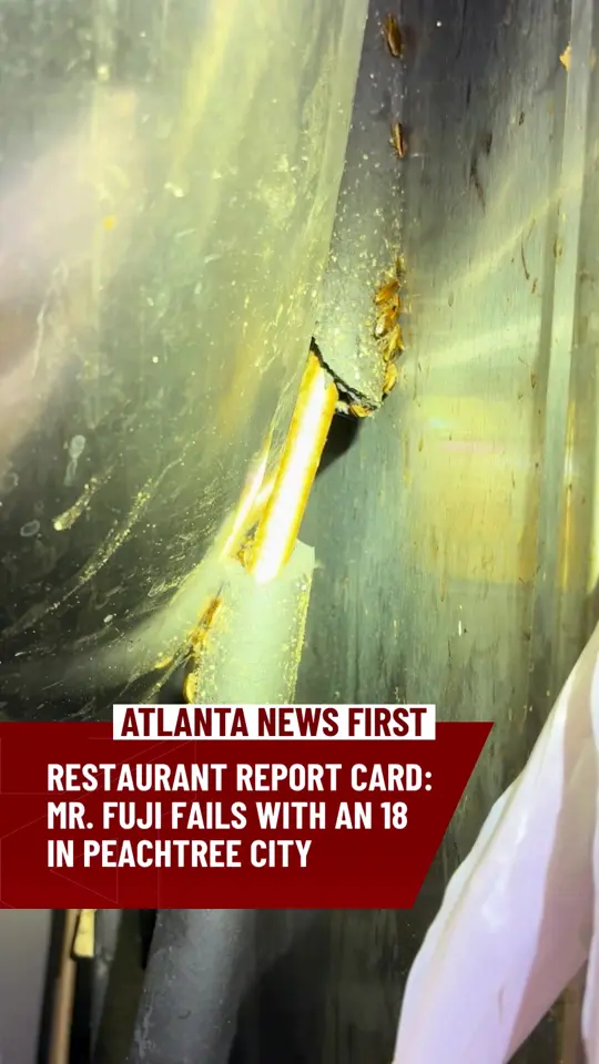Mr. Fuji Steakhouse and Sushi in Peachtree City showing health inspection, roaches, unsatisfactory score, video by atlantanewsfirst on TikTok