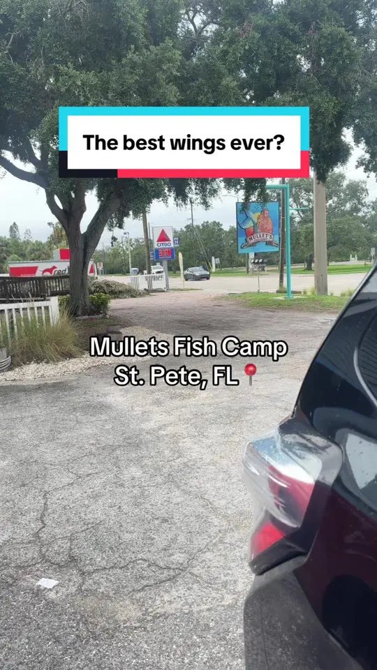 Mullet's Fish Camp on TikTok, video by baricskachrista