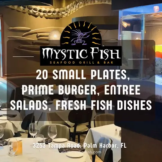  in Florida showing prime burger, small plates, entree salads, fresh fish dishes, video by Mystic Fish on Facebook