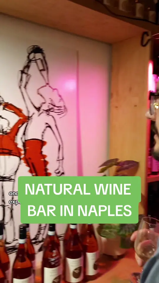 Naples Society Wine Bar in Naples showing natural wine bar, wine tasting menu, rotating dishes, local produce, wine bottle from shop, video by concernedcook on TikTok