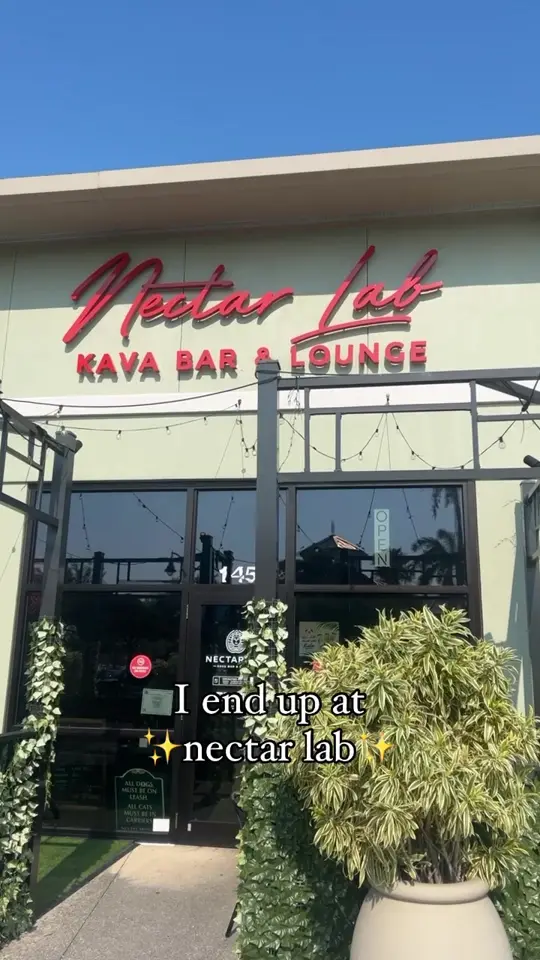 Nectar Lab Kava Bar in Fort Myers showing happy hour, cocktails, mocktails, video by nectarlab on TikTok