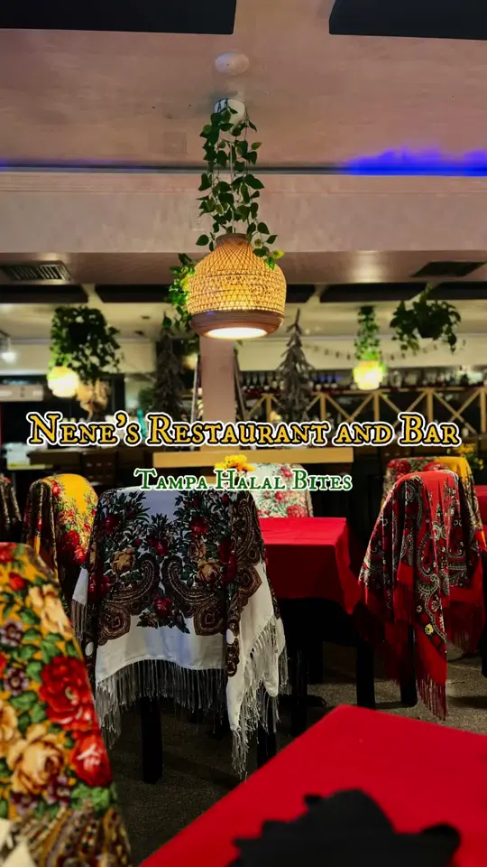 Nene's Restaurant & Bar in Tampa showing restaurant visit, eastern european cuisine, ukrainian dishes, georgian dishes, video by tpahalalbites on TikTok