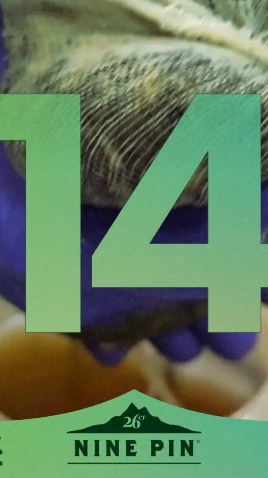 Nine Pin Ciderworks in Albany showing drink, cider, video by Nine Pin Cider on Facebook