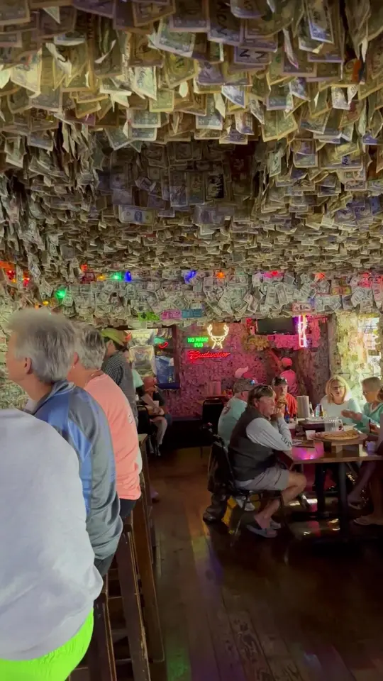 No Name Pub in Big Pine Key showing atmosphere, review, video by stoolpresidente on TikTok