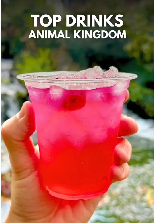 Nomad Lounge in Lake Buena Vista showing cocktail, hightower rocks, video by themainstdish on TikTok