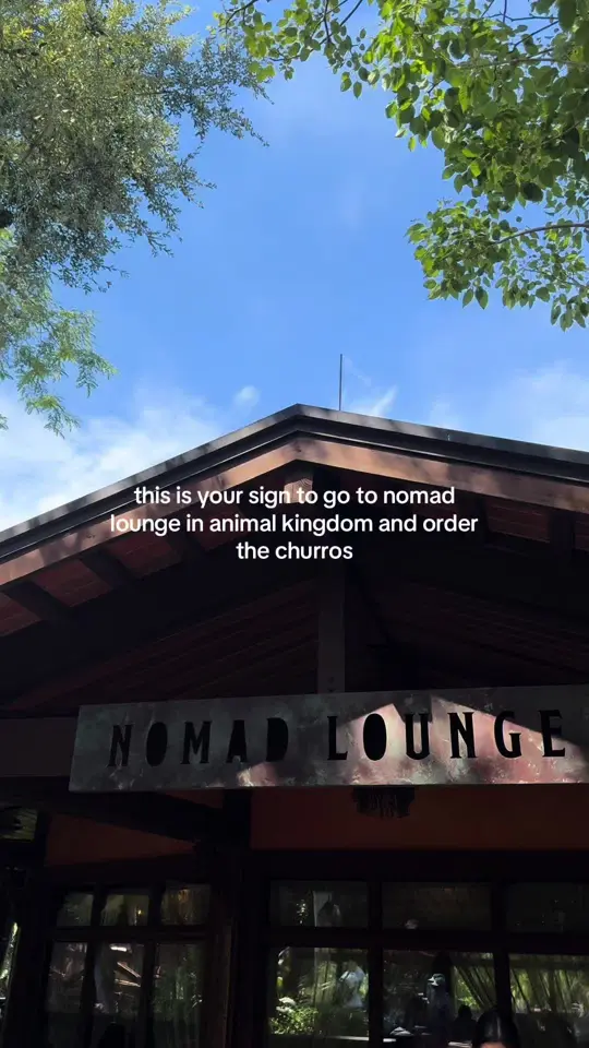 Nomad Lounge in Lake Buena Vista showing food, churros, video by ajdoesdisney on TikTok