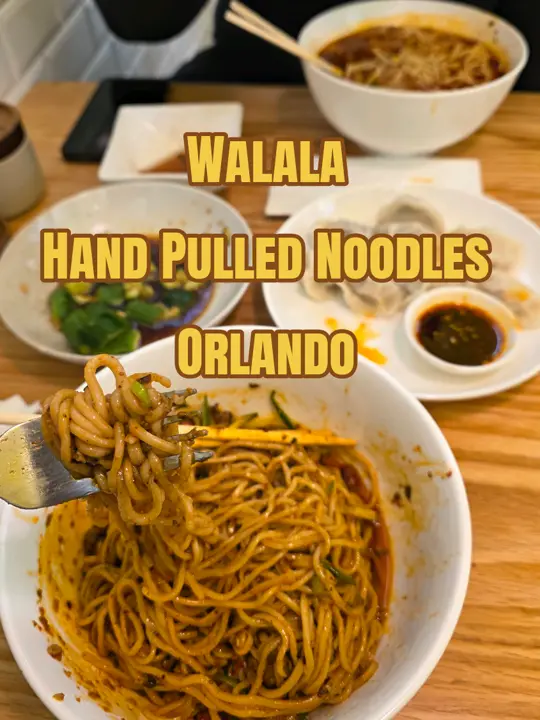 in Florida showing food, authentic chinese hand pulled noodles, video by povflgirl on TikTok