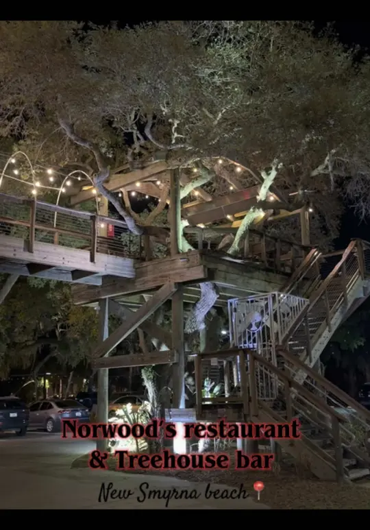 Norwood's Restaurant & Treehouse Bar in New Smyrna Beach showing dinner, food, video by nashaliemojica_ on TikTok