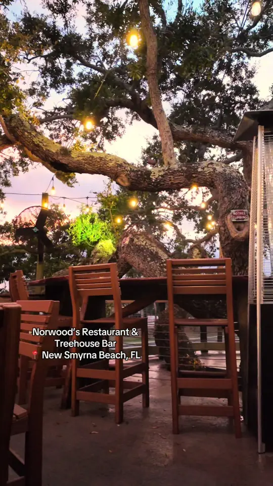 Norwood's Restaurant & Treehouse Bar in New Smyrna Beach showing cocktail, atmosphere, video by blaha_blast on TikTok