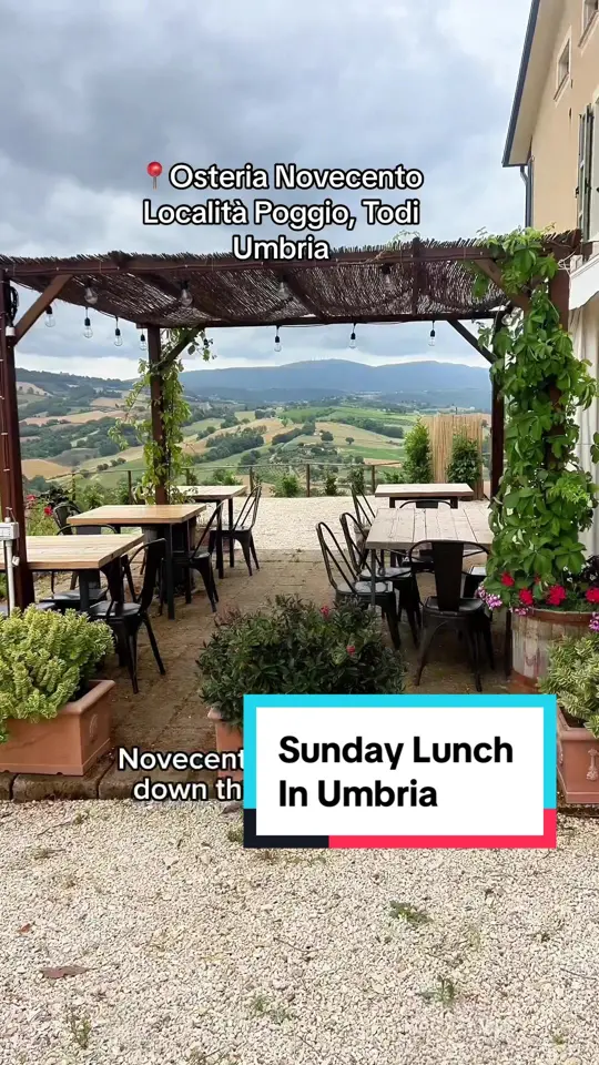 Novecento in Doral showing visit, osteria, video by elizabeth_minchilli on TikTok