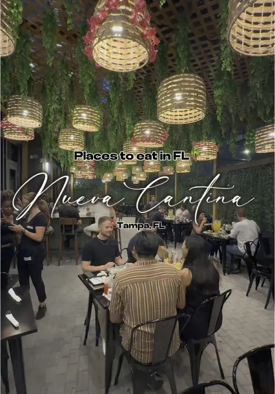 Nueva Cantina in St. Petersburg showing tacos, birria, visit, video by kaymarie023 on TikTok