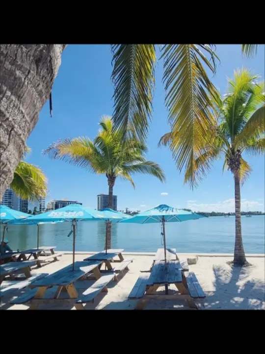 O'Leary's Tiki Bar & Grill in Sarasota showing visit, waterfront dining, sunny day, good food, good drinks, amazing view, video by whatsgoodsarasota on TikTok