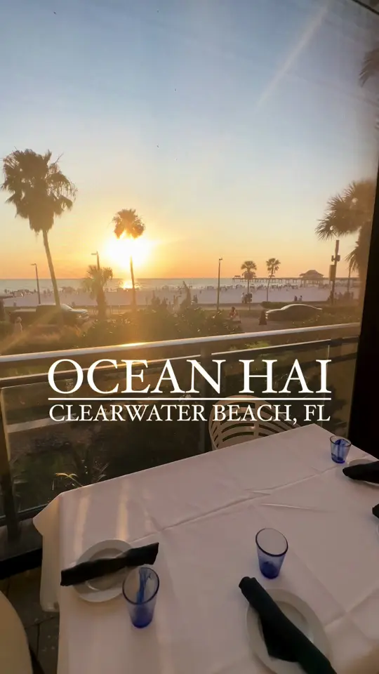 Ocean Hai in Clearwater Beach showing review, visit, video by thingstodotampabay on TikTok