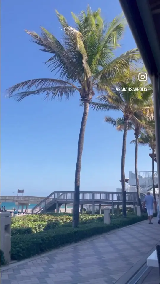 Oceans 234 in Deerfield Beach showing cocktail, watermelon heat / appetizer, lollipop chicken wings / appetizer, middleneck clams / sushi, members only roll / main course, 8 oz. center-cut filet, video by sarahsarpolis on TikTok