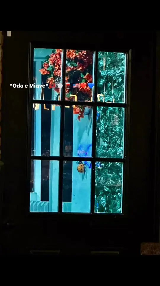ODA E MIQVE in Largo showing restaurant, address, video by Oda e Miqve on Facebook