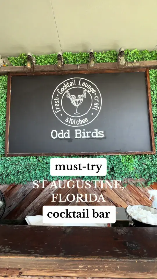 Odd Birds Cocktail Lounge And Kitchen in St. Augustine showing cocktail, bartender's call, video by carsoncarby on TikTok