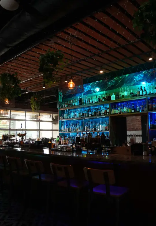 Odd Birds Cocktail Lounge And Kitchen in St. Augustine showing cocktail, atmosphere, video by oddbird on TikTok
