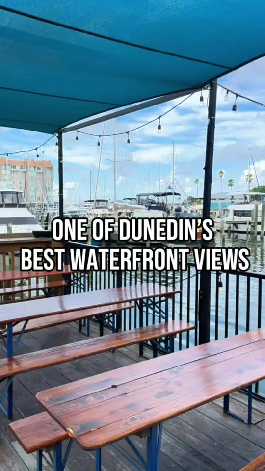  in Florida showing review, smoked fish spread, catch of the day, walt’s crab cake, old bay peel & eat shrimp, seared ahi tuna with asian noodles, dunedin greens salad, video by eatlocalflorida on TikTok