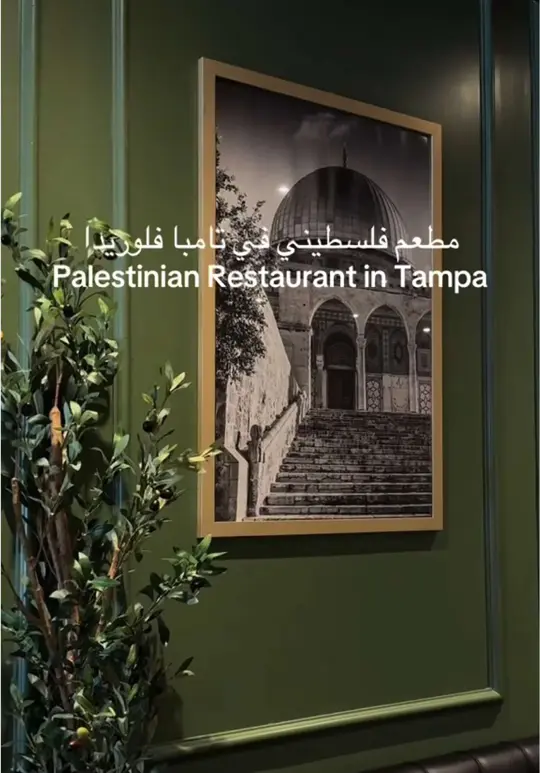 Olive Tree by Chef Yousef in Tampa showing review, visit, shawarma, mulukheya, halal food, video by tampaiman on TikTok