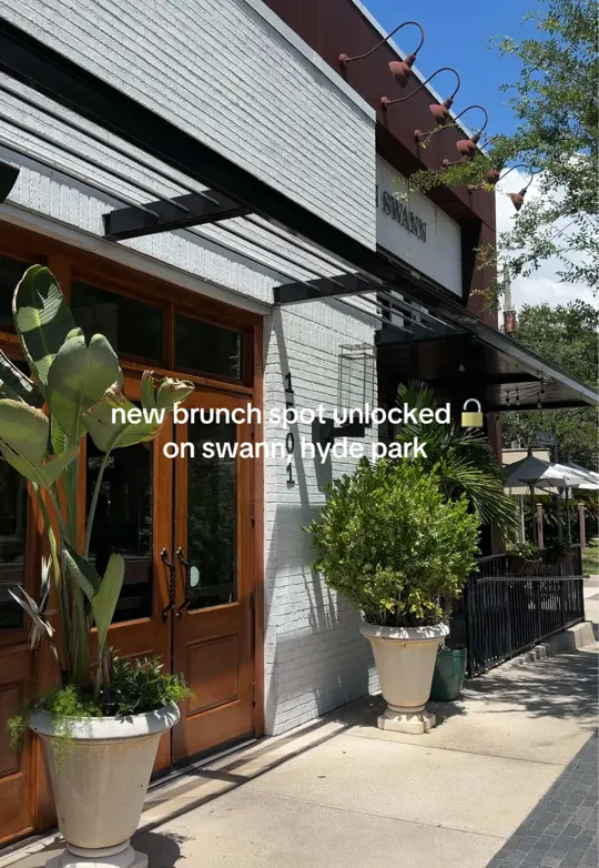 On Swann in Tampa showing brunch, kale salad with salmon, garden social drink, video by ashleydewhirst on TikTok