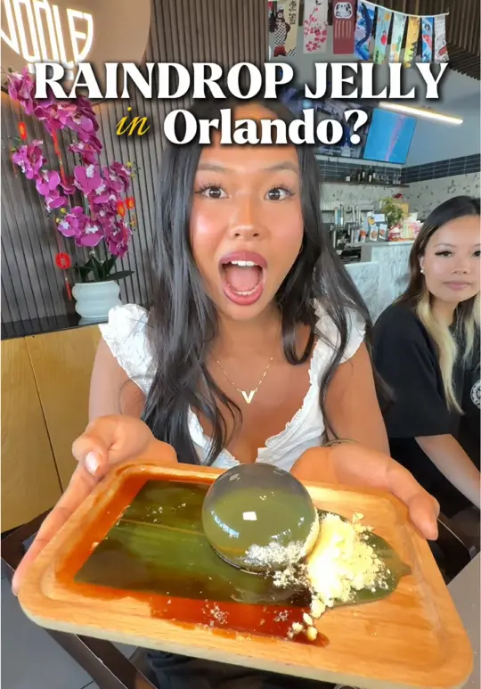 OODLE in Orlando showing review, omurice, shoyu ramen, jalapeño poppers, katsu curry don, ube panna cotta, video by binminmunch on TikTok