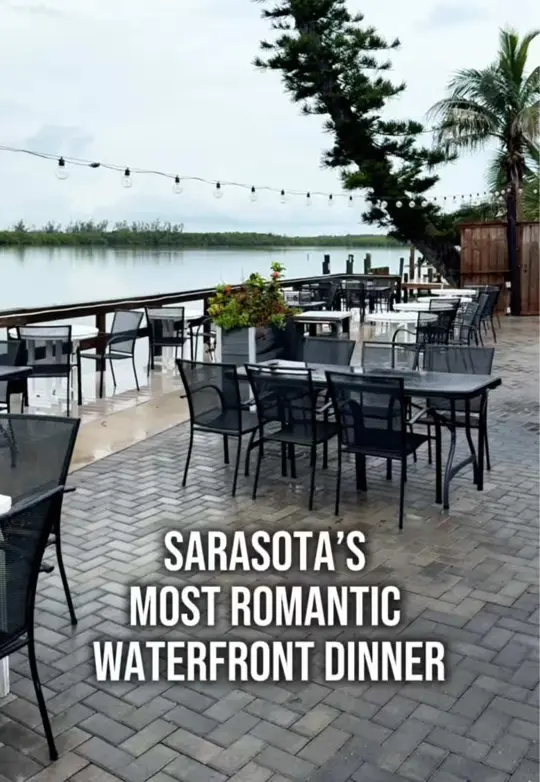 Ophelia's on the Bay in Sarasota showing review, visit, fine dining experience, maine oysters, tataki seared yellowfin tuna, maine lobster risotto, video by eatlocalflorida on TikTok