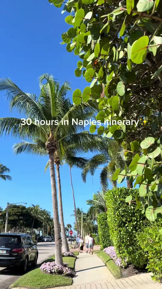 Osteria Tulia in Naples showing food, lunch, video by selayrichmond on TikTok