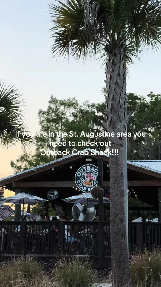  in Florida showing live music, food review, video by cassie_metz on TikTok
