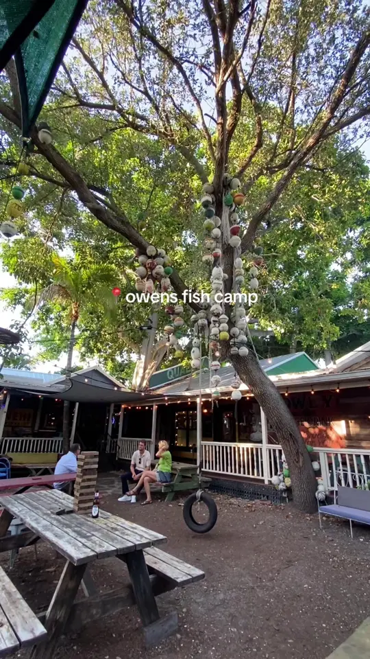 Owen's Fish Camp - Lakewood Ranch in Lakewood Ranch showing fish tacos, crab dip, spicy jambalaya, video by lisalollirock on TikTok