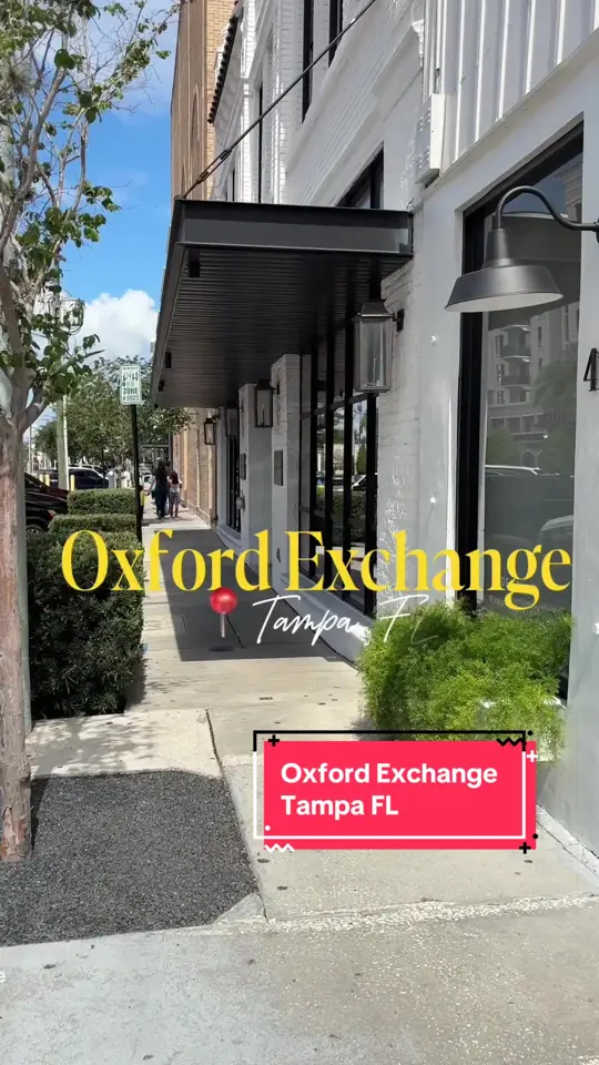 Oxford Exchange in Tampa showing brunch, chicken sandwich, truffle mac, chicken with arugula salad, video by ntashahall on TikTok