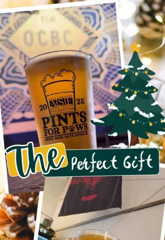 Oyster City Brewing Company Tallahassee on TikTok, video by asftally