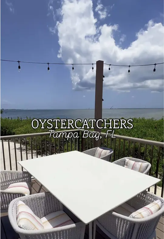Oystercatchers in Tampa showing upscale waterfront dining, fresh seafood, ceviche, steak, burger, beautiful views of tampa bay, video by thingstodotampabay on TikTok