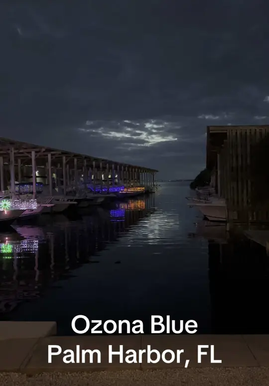 Ozona Blue Grilling Co in Palm Harbor showing visit, waterfront dining, friends, video by destinationfulltime on TikTok