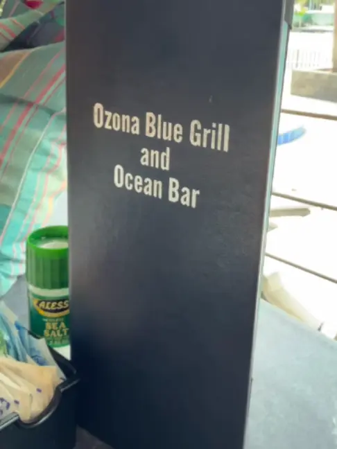 Ozona Blue Grilling Co in Palm Harbor showing visit, good food, cold drinks, pool, video by sngplantastic on TikTok