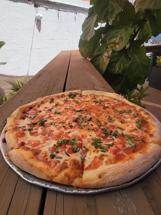 Palace Cafe in Pensacola showing appetizer, ravioli, garlic knots, beer, pizza, tiramisu, video by adventuresofmyah on TikTok