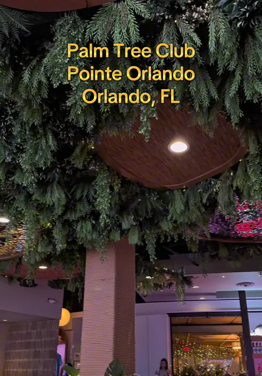 Palm Tree Club Orlando in Orlando showing cocktail, lounge atmosphere, video by sunshinestateselling on TikTok
