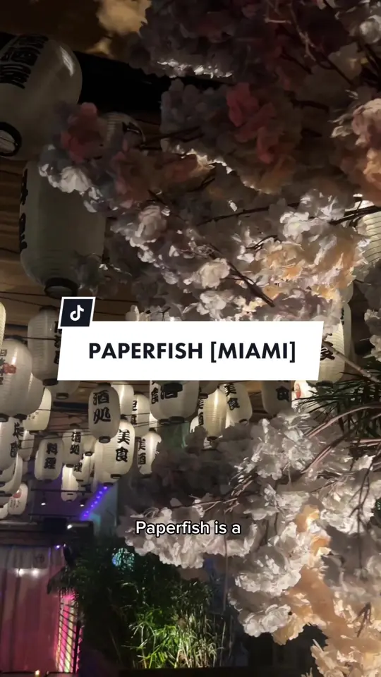 Paperfish Sushi in Miami showing review, visit, video by shop_vasudha on TikTok