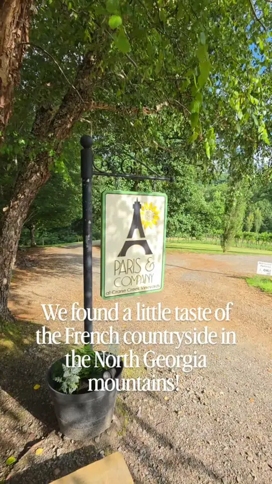 Paris and Company Restaurant in Young Harris showing review, visit, french food, wine, vineyard view, video by Gigi Mack on Facebook