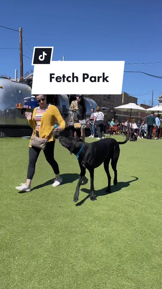 Park Bar in Atlanta showing coffee, beer, atmosphere, visit, video by itslindseyeaton on TikTok
