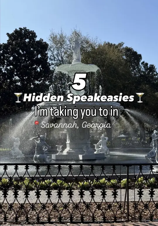 Peacock Lounge in Savannah showing bar, speakeasy, video by takethedangtrip on TikTok