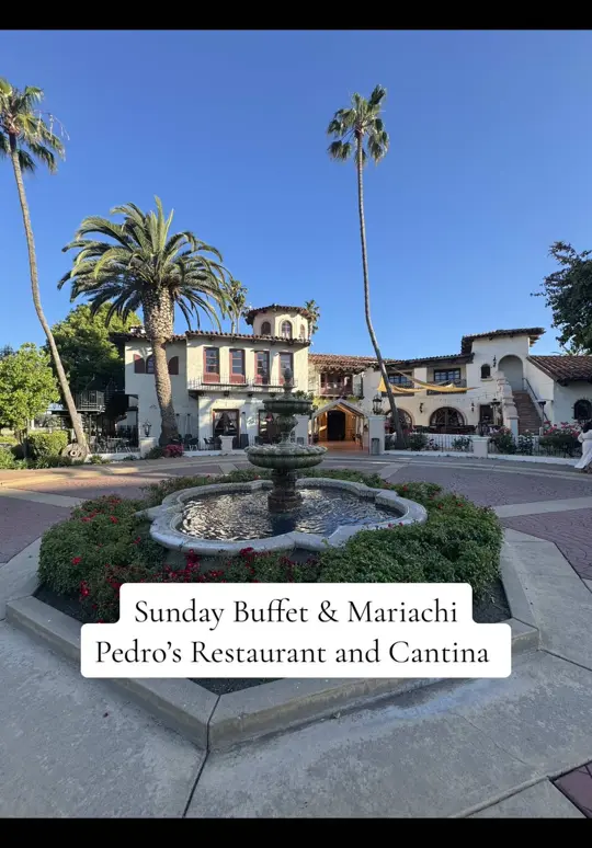 Pedro's Mexican Grill and Cantina in Zebulon showing visit, atmosphere, live mariachi, sunday buffet, video by dreavlogss on TikTok