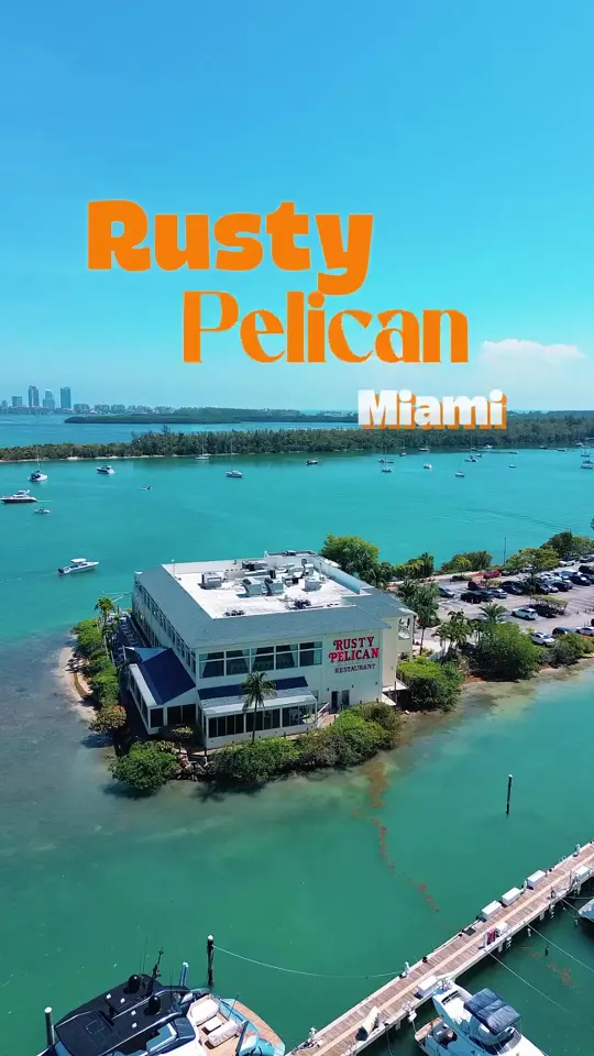 Pelican Restaurant in Miami Beach showing lunch, skyline views, video by rustypelicanmiami on TikTok