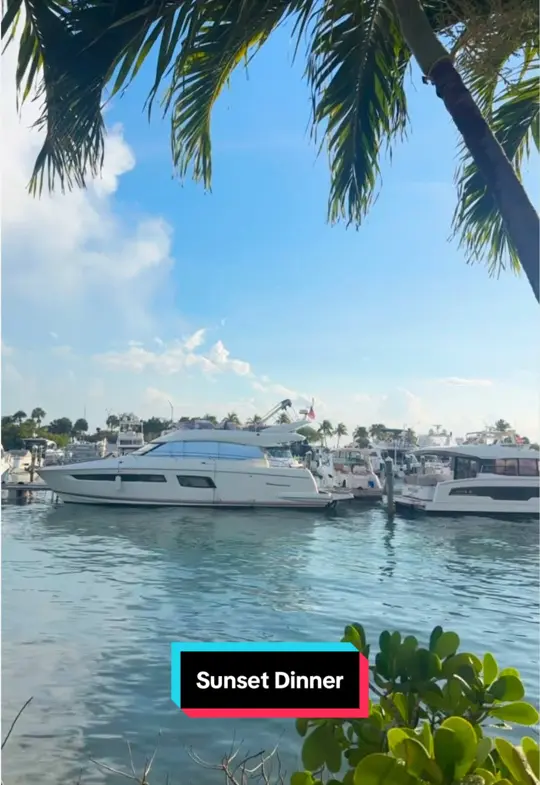 Pelican Restaurant in Miami Beach showing review, visit, video by vanita.jagnarain on TikTok