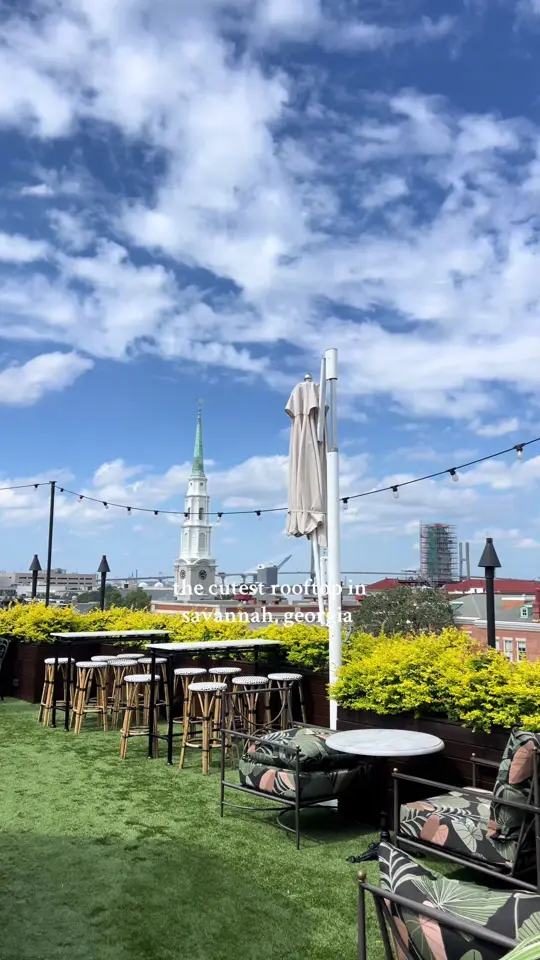 Peregrin in Savannah showing review, atmosphere, video by calischwetz on TikTok