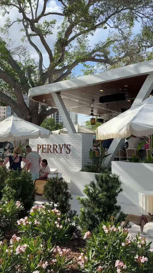 Perry's Porch on TikTok, video by graceracadio