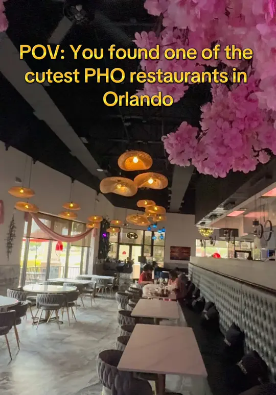 PHO SKY BLOSSOM - Bistro & Bar in Orlando showing pho, seafood pho, pork banh mi, video by sunshinestateselling on TikTok