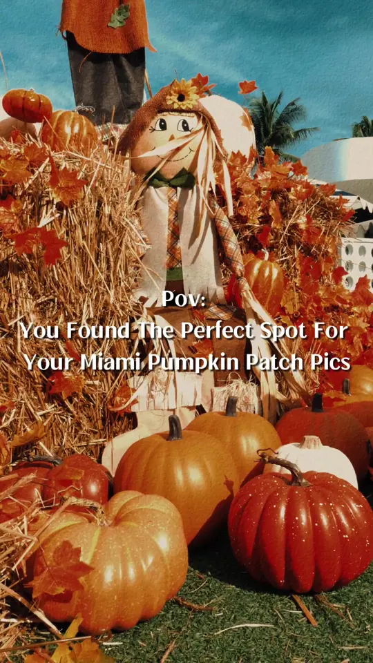 Pier 5 in Miami showing visit, fall party, video by pier5bayside on TikTok